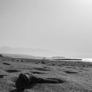 El Mar Διαμέρισμα